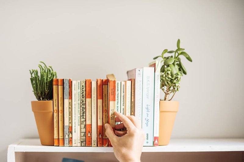 Suck UK Bookends - Plant Pot Book Ends - Flower Pot Book Ends for Shelves Quirky - Decorative Kitchen Bookends - Novelty Plant Pot Holder - Office Shelf Accessories - Funny Indoor Plants - Set of 2 - Image 2